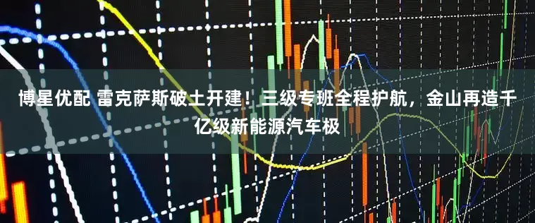 博星优配 雷克萨斯破土开建！三级专班全程护航，金山再造千亿级新能源汽车极
