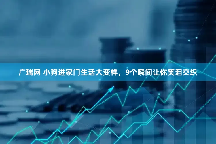 广瑞网 小狗进家门生活大变样，9个瞬间让你笑泪交织