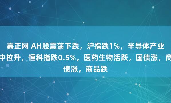 嘉正网 AH股震荡下跌，沪指跌1%，半导体产业链盘中拉升，恒科指跌0.5%，医药生物活跃，国债涨，商品跌