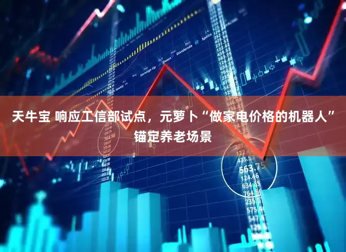 天牛宝 响应工信部试点，元萝卜“做家电价格的机器人”锚定养老场景