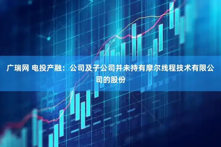 广瑞网 电投产融：公司及子公司并未持有摩尔线程技术有限公司的股份